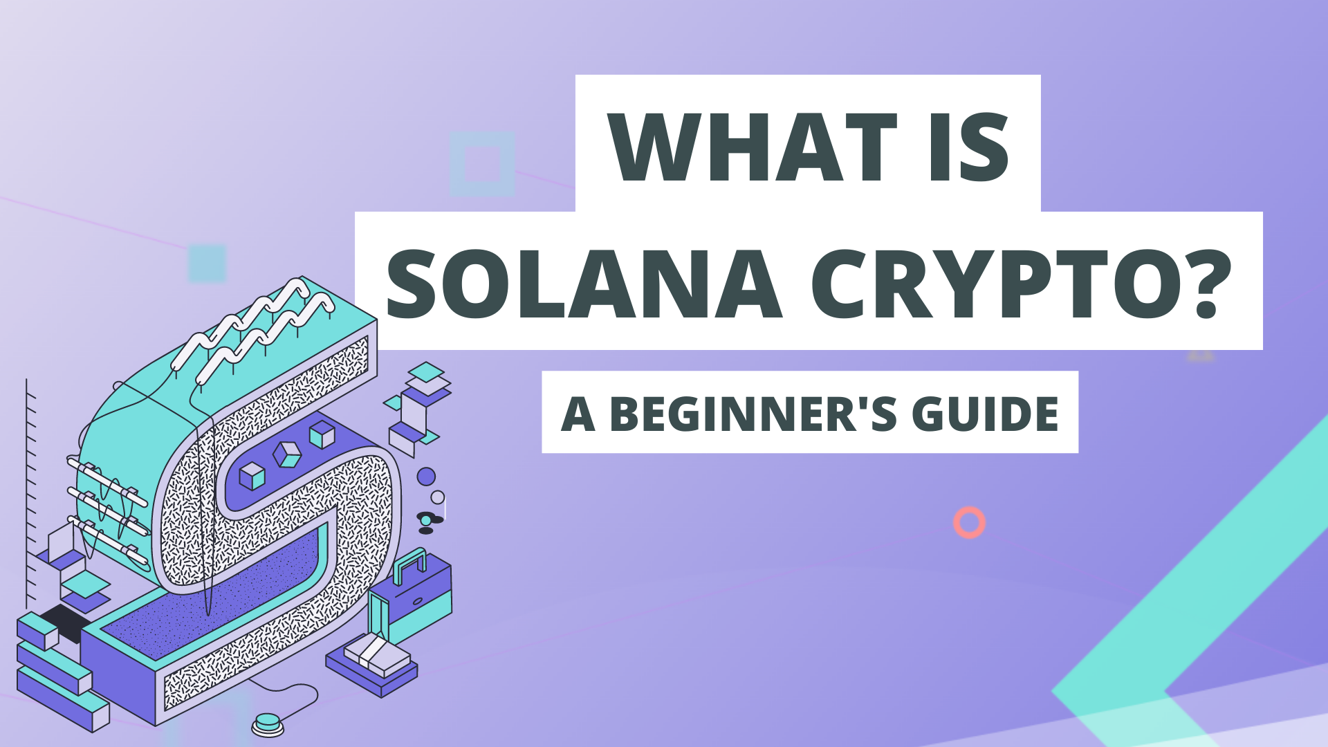 Crypto Of The Month | Solana - A Little Crypto Curious